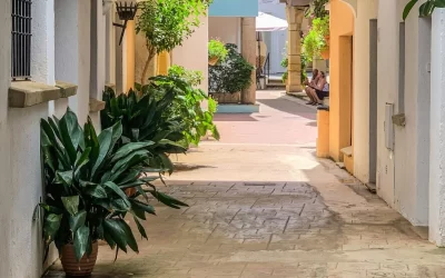 De plaza en plaza: El aroma a azahar y las esquinas secretas de Estepona